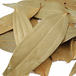 BRINJI ILAI ( BAY LEAF )