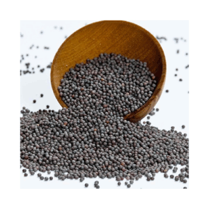 BIG KADUGU ( MUSTARD )