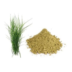 ARUGAMPUL POWDER