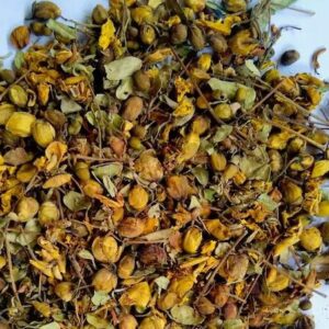 AAVARAM POO ( TANNER FLOWERS ) - DRIED