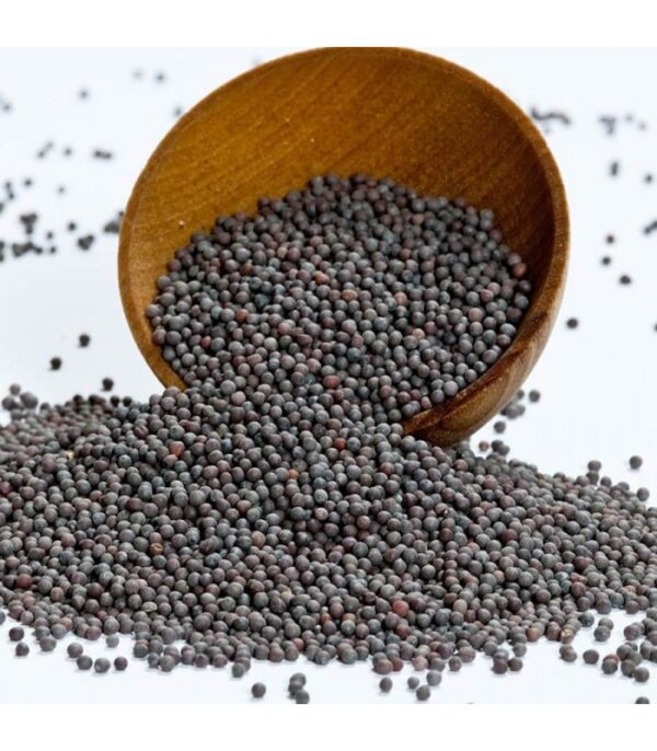 BIG KADUGU ( MUSTARD )