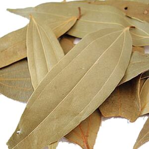 BRINJI ILAI ( BAY LEAF )