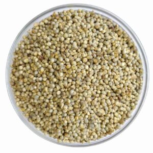 PERIYA KAMBU ( BIG MILLET )