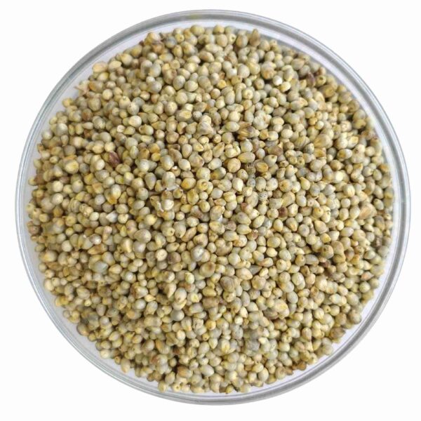 PERIYA KAMBU ( BIG MILLET )