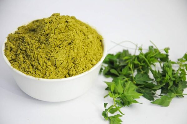 MUDAKATHAAN POWDER