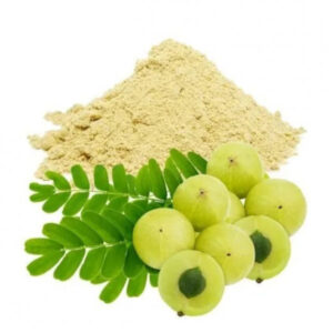 NELLIKAI POWDER