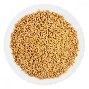 SAMBA KOTHUMAI ( WHOLE SAMBA WHEAT )