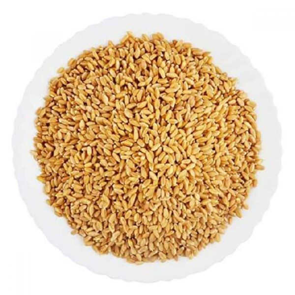 SAMBA KOTHUMAI ( WHOLE SAMBA WHEAT )