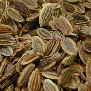 SATHAKUPPAI ( DILL SEEDS )