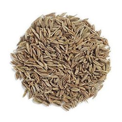 SERAGAM ( CUMIN )