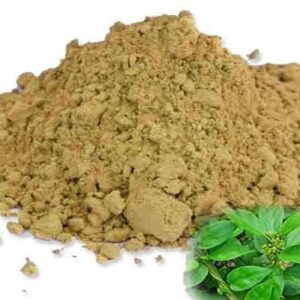 SIRUKURINJAN POWDER