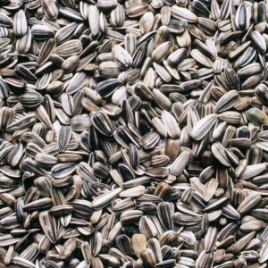 SURYAGANDHI VITHAI ( SUNFLOWER SEEDS )