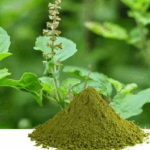 THULASI POWDER