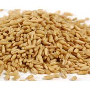 KOTHUMAI ( WHOLE WHEAT )