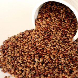 KOLLU ( HORSE GRAM )