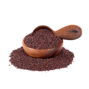 SMALL KADUGU ( MUSTARD )